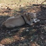 frau-schredder-mal-wieder-tiefenentspannt