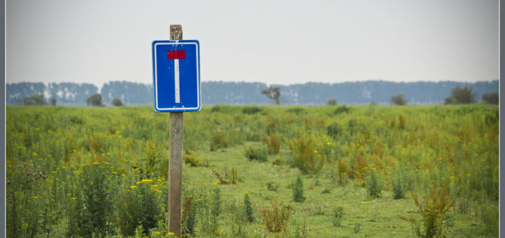 Bert Kaufmann - Dead end nature / Doodlopende natuur - Flickr - CC BY-SA 2.0